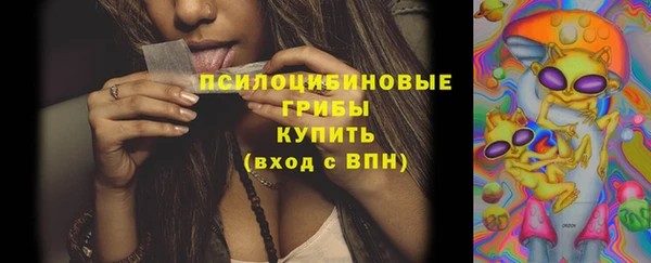 марки lsd Горняк