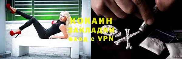 jwh Гусев